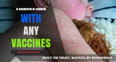 Augmentin and Vaccines: Exploring Potential Interactions and Commonalities
