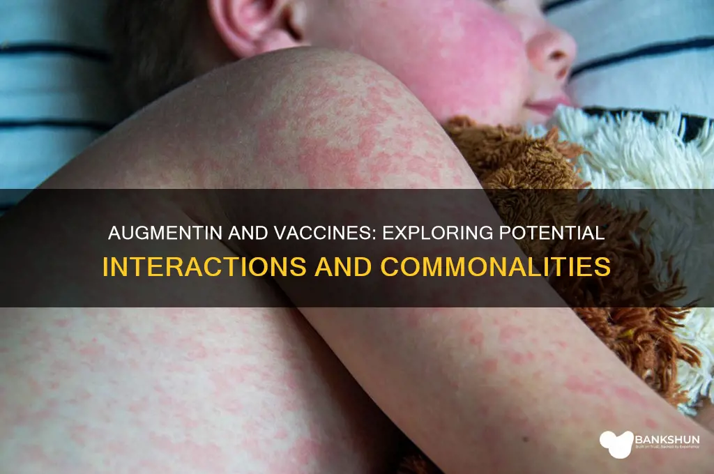 is augmentin in common with any vaccines