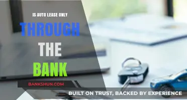 Exploring Auto Lease Options: Beyond Bank Financing for Your Vehicle