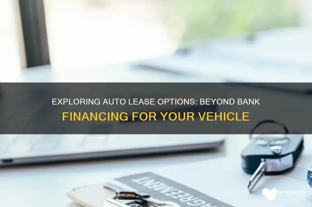 is auto lease only through the bank