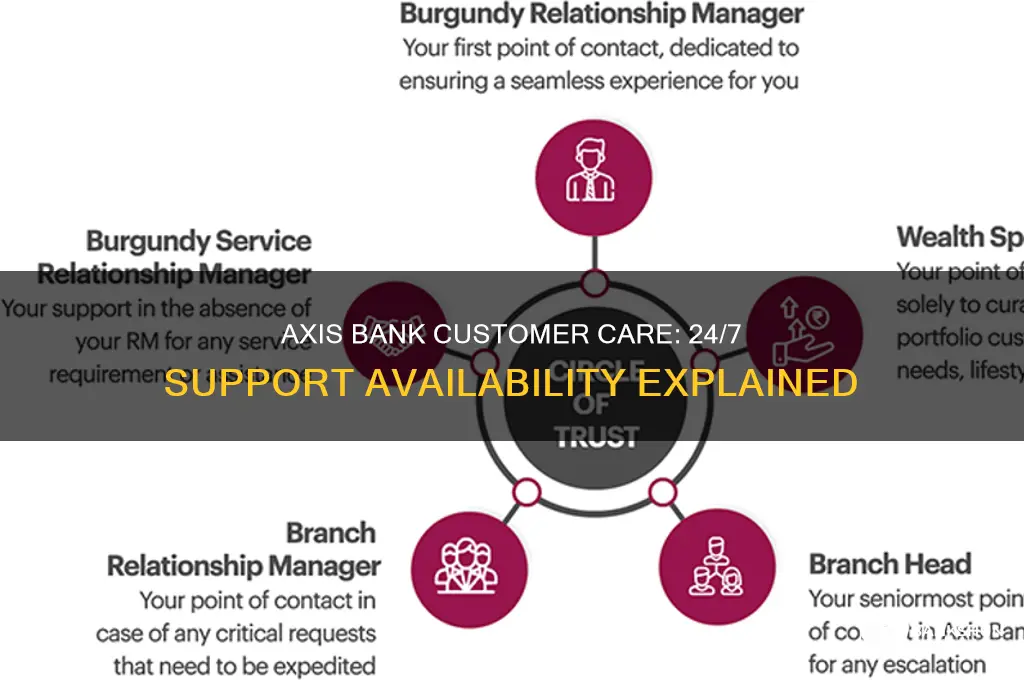 is axis bank customer care 24 7