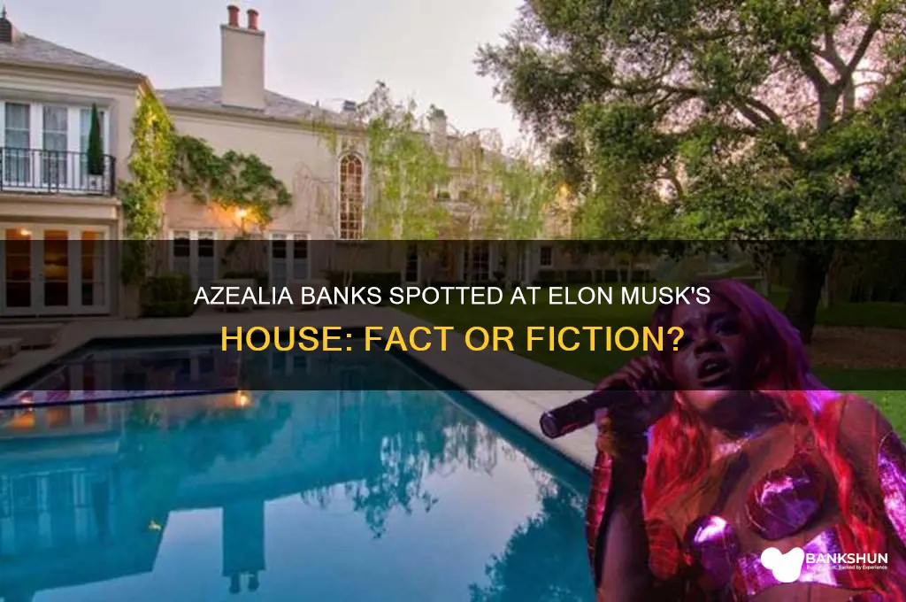 is azealia banks in elon musks house