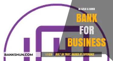 Is Azlo the Right Business Banking Solution for You?