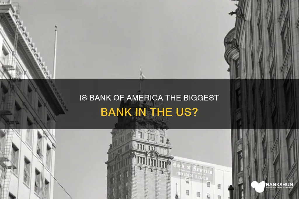 is b of a the biggret bank
