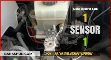 Understanding B1S1: Does It Really Stand for Bank 1 Sensor 1?