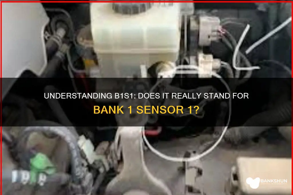 is b1s1 standfor bank 1 sensor 1