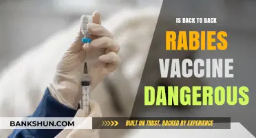 Is Back-to-Back Rabies Vaccination Safe or Risky for Pets?