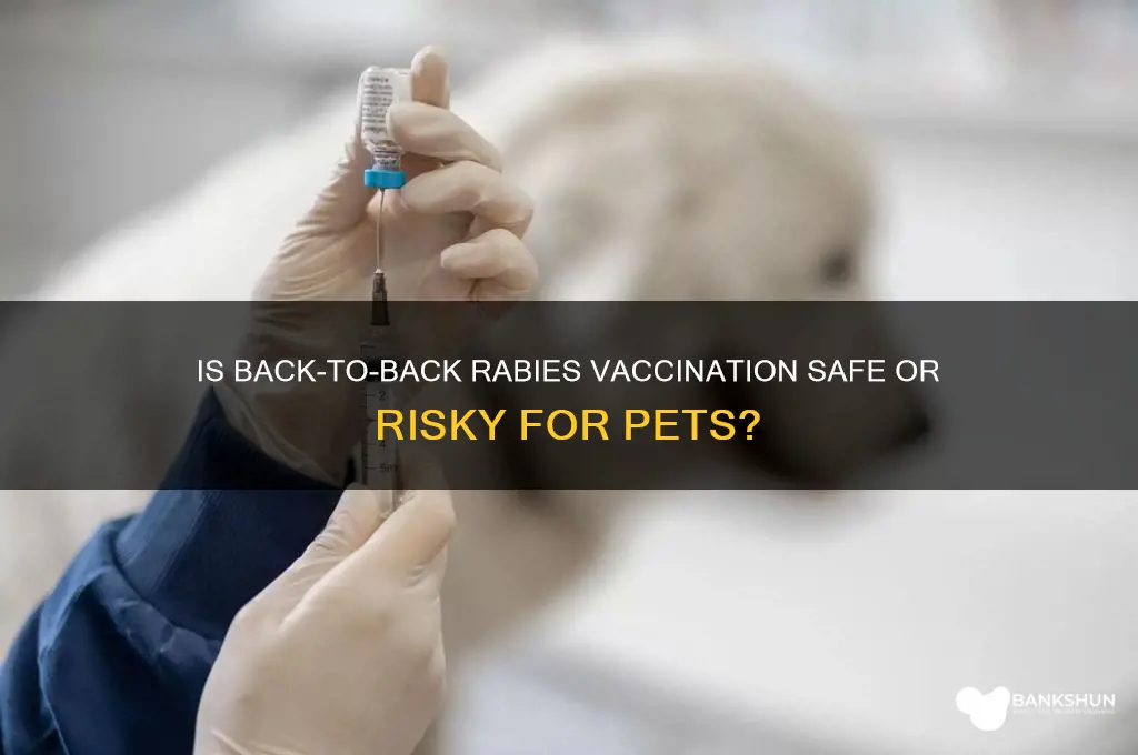 is back to back rabies vaccine dangerous