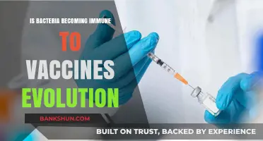Are Bacteria Evolving Immunity to Vaccines? Exploring the Science