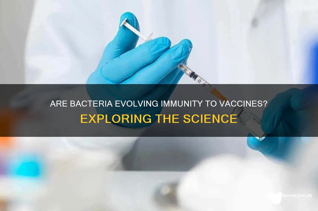 is bacteria becoming immune to vaccines evolution