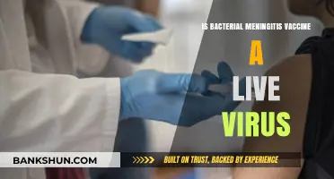 Is the Bacterial Meningitis Vaccine a Live Virus? Facts Explained