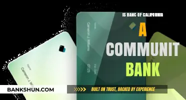 Is Banc of California Truly a Community Bank? Exploring Its Role