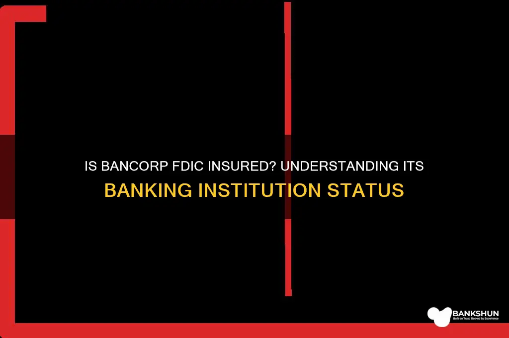 is bancorp an fdic insured banking institution