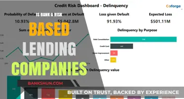 Are Banks Truly Risk-Based Lending Companies? Exploring the Dynamics