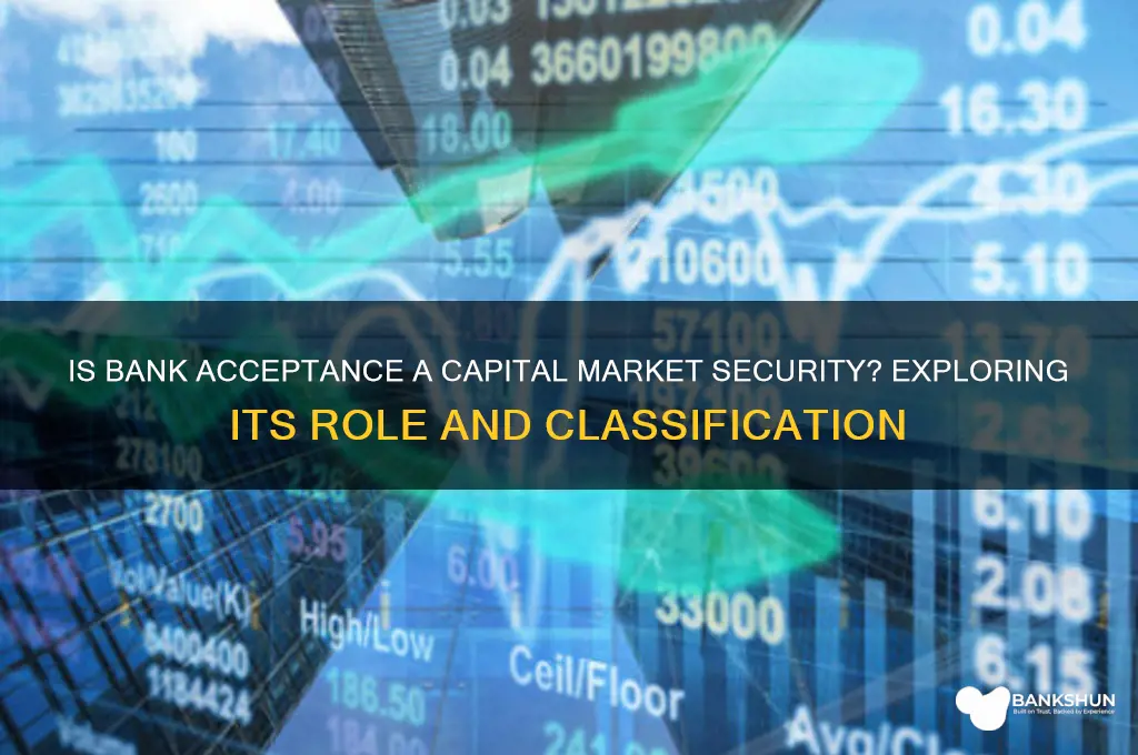 is bank acceptsnce a capital market security