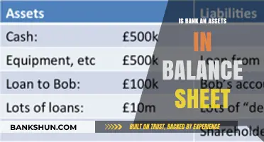Understanding Banks as Assets: A Balance Sheet Perspective