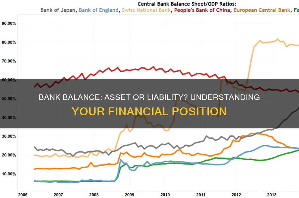 is bank balance an asset or liability