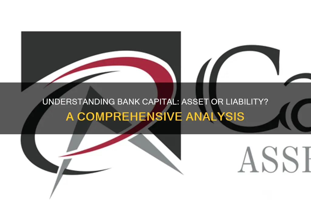 is bank capital an asset or liabilities