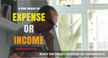Bank Charges: Expense or Income? Understanding Financial Transactions