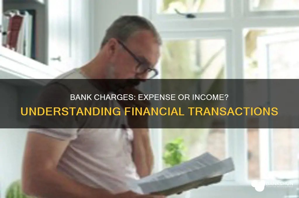 is bank charges an expense or income