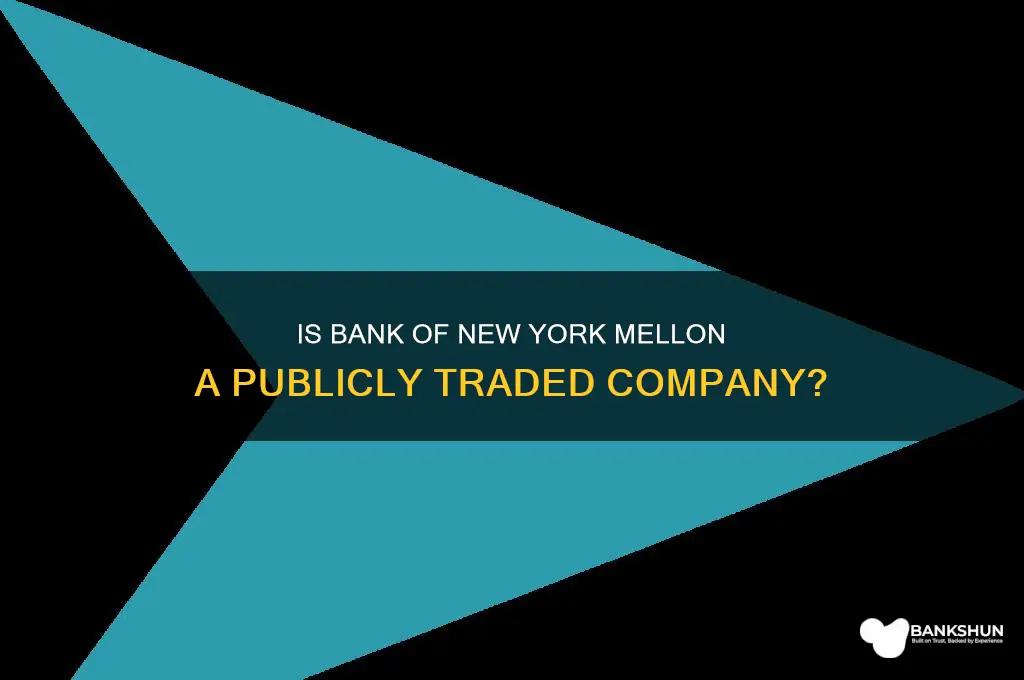is bank fof new york mellon public