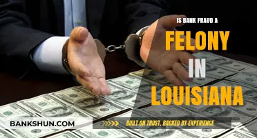 Is Bank Fraud a Felony in Louisiana? Legal Insights Explained