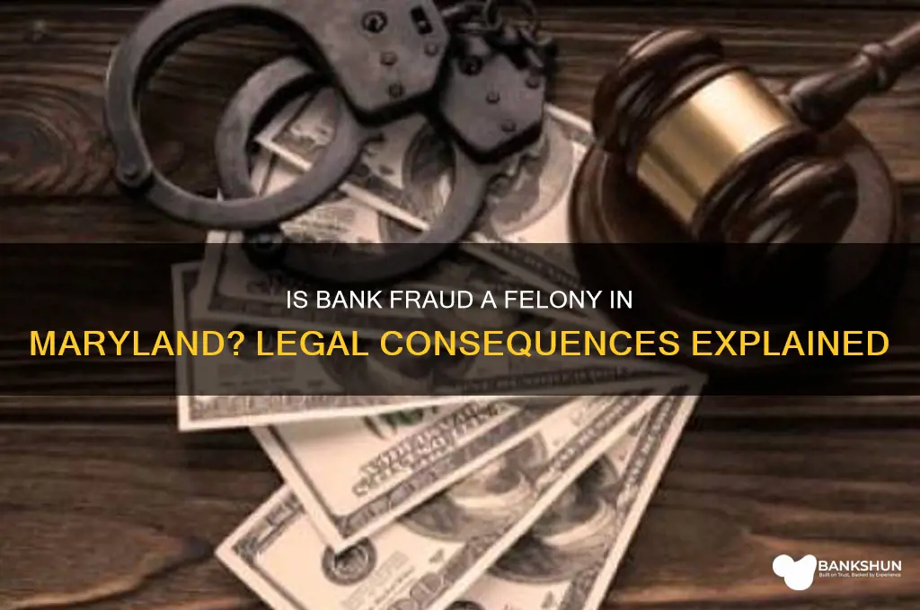is bank fraud a felony in maryland