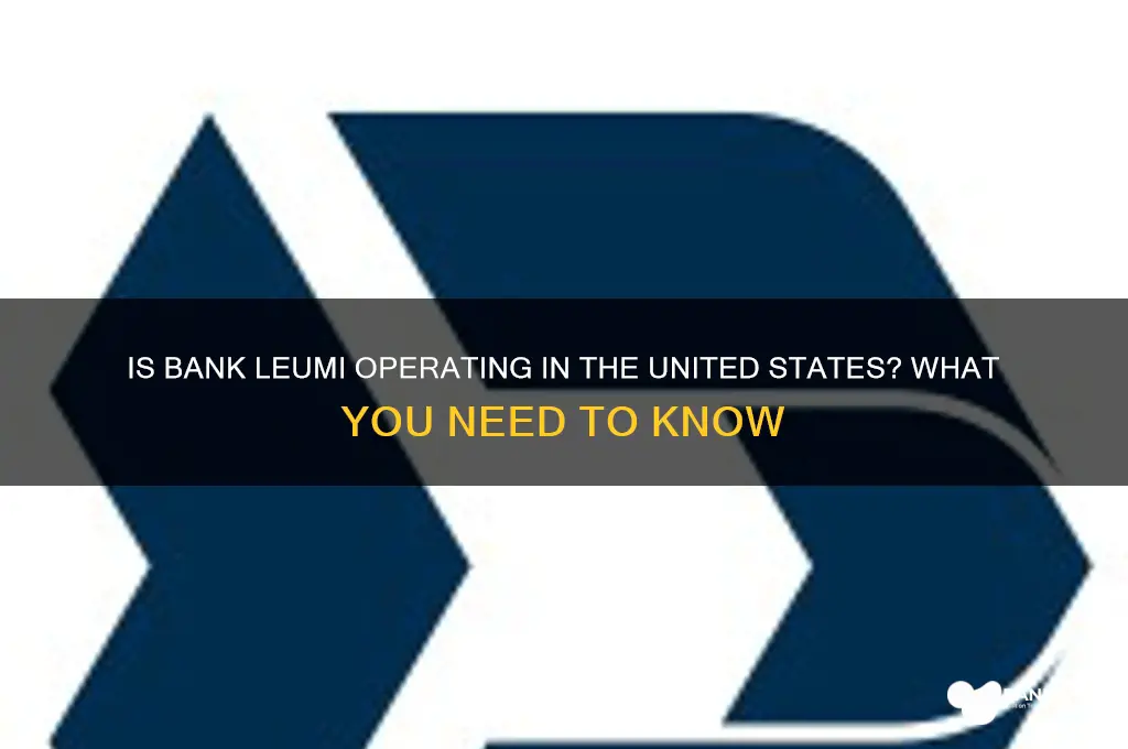is bank leumi in the u s