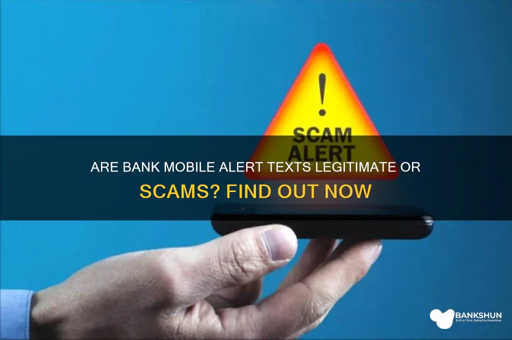 is bank mobile alert text a scam