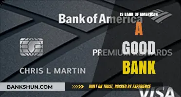 Is Bank of America a Good Bank? Pros, Cons, and Customer Reviews