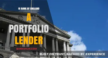 Is the Bank of England a Portfolio Lender? Exploring Its Role