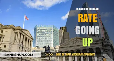 Will the Bank of England Raise Interest Rates Again Soon?