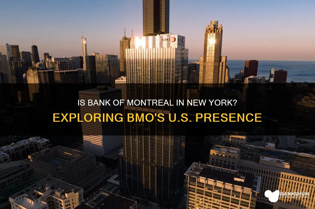 is bank of montreal in new york