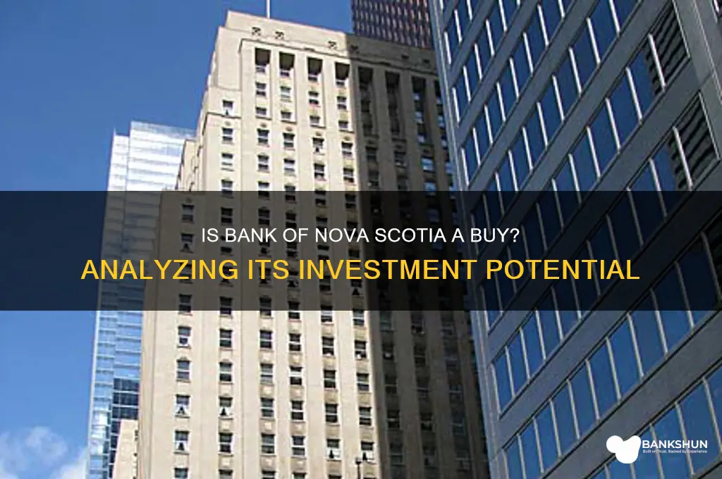 is bank of nova scotia a buy