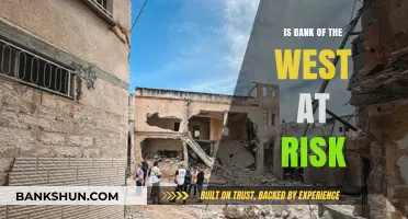 Is Bank of the West Facing Financial Risk? An Analysis