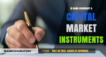 Is Bank Overdraft a Capital Market Instrument? Exploring the Debate