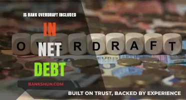 Understanding Net Debt: Does Bank Overdraft Factor In?