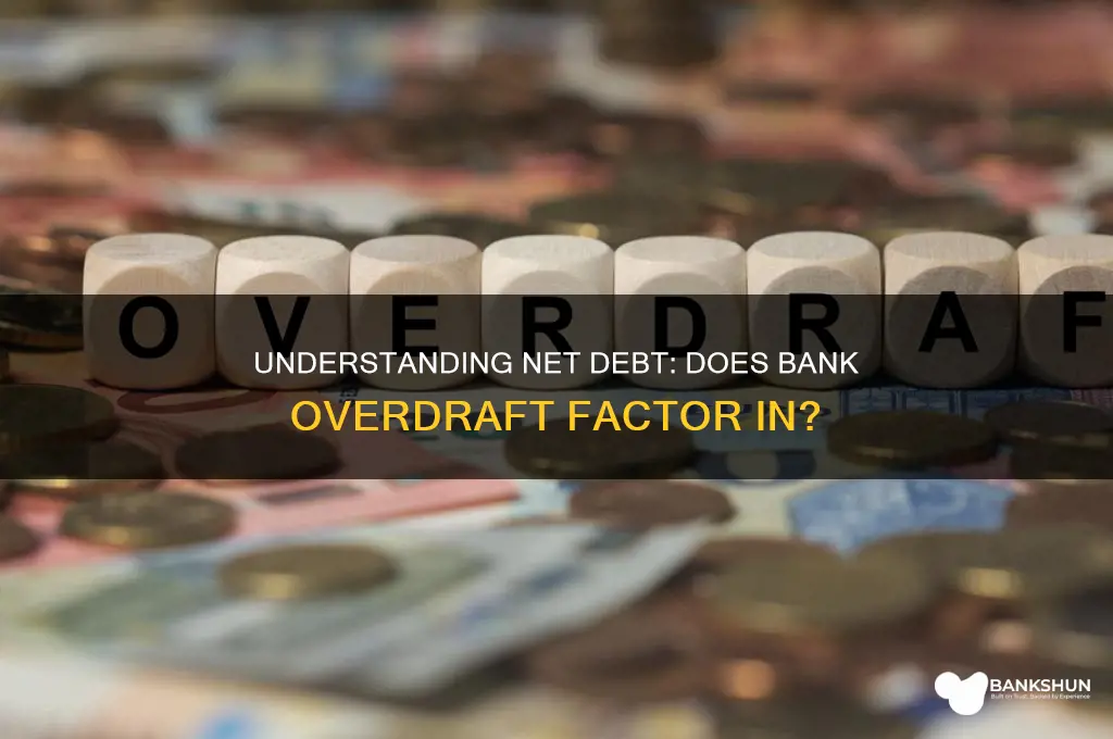 is bank overdraft included in net debt