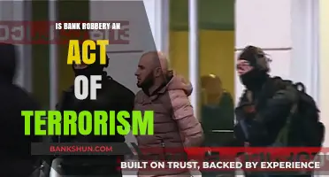 Bank Robbery as Terrorism: Criminal Act or Political Statement?