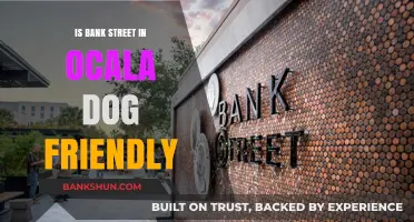 Exploring Bank Street, Ocala: A Dog-Friendly Destination or Not?