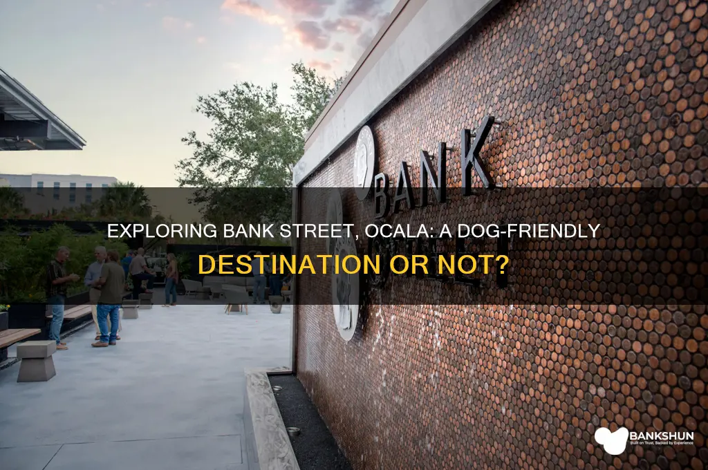 is bank street in ocala dog friendly