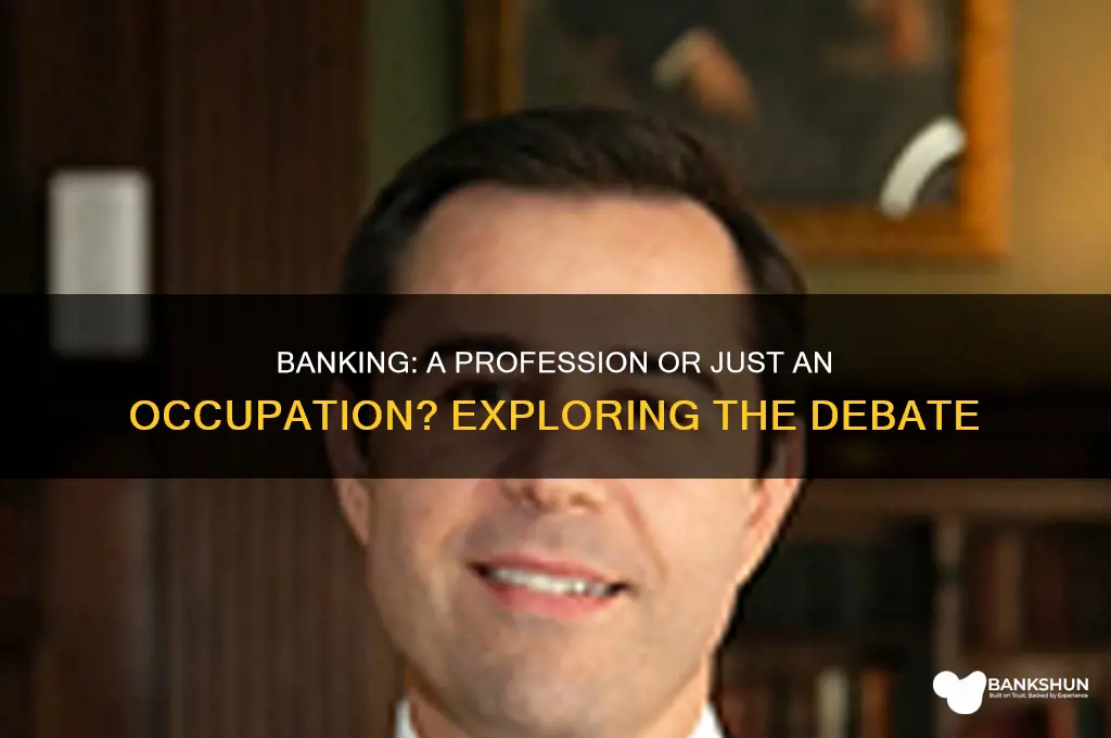 is banking a profession or an occupation