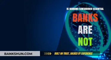 Are Banks Truly Essential? Challenging the Conventional Financial Narrative