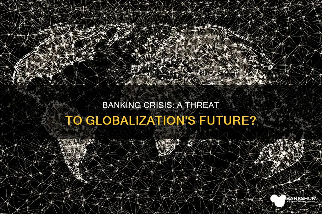 is banking crisis a crisis for globalization