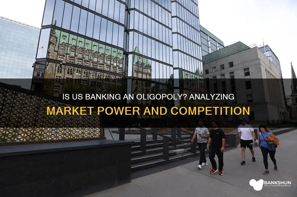 is banking in the us an oligopoly