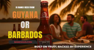 Banks Beer Origins: Guyana or Barbados? Unraveling the Caribbean Mystery