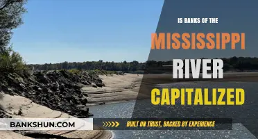 Capitalization Rules for 'Banks of the Mississippi River' Explained