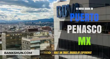 Is BBVA Bank Available in Puerto Peñasco, Mexico? Find Out Here