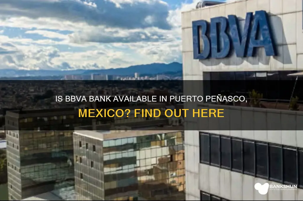 is bbva bank in puerto penasco mx