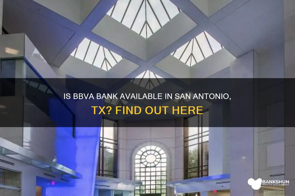 is bbva bank in san antonio tx